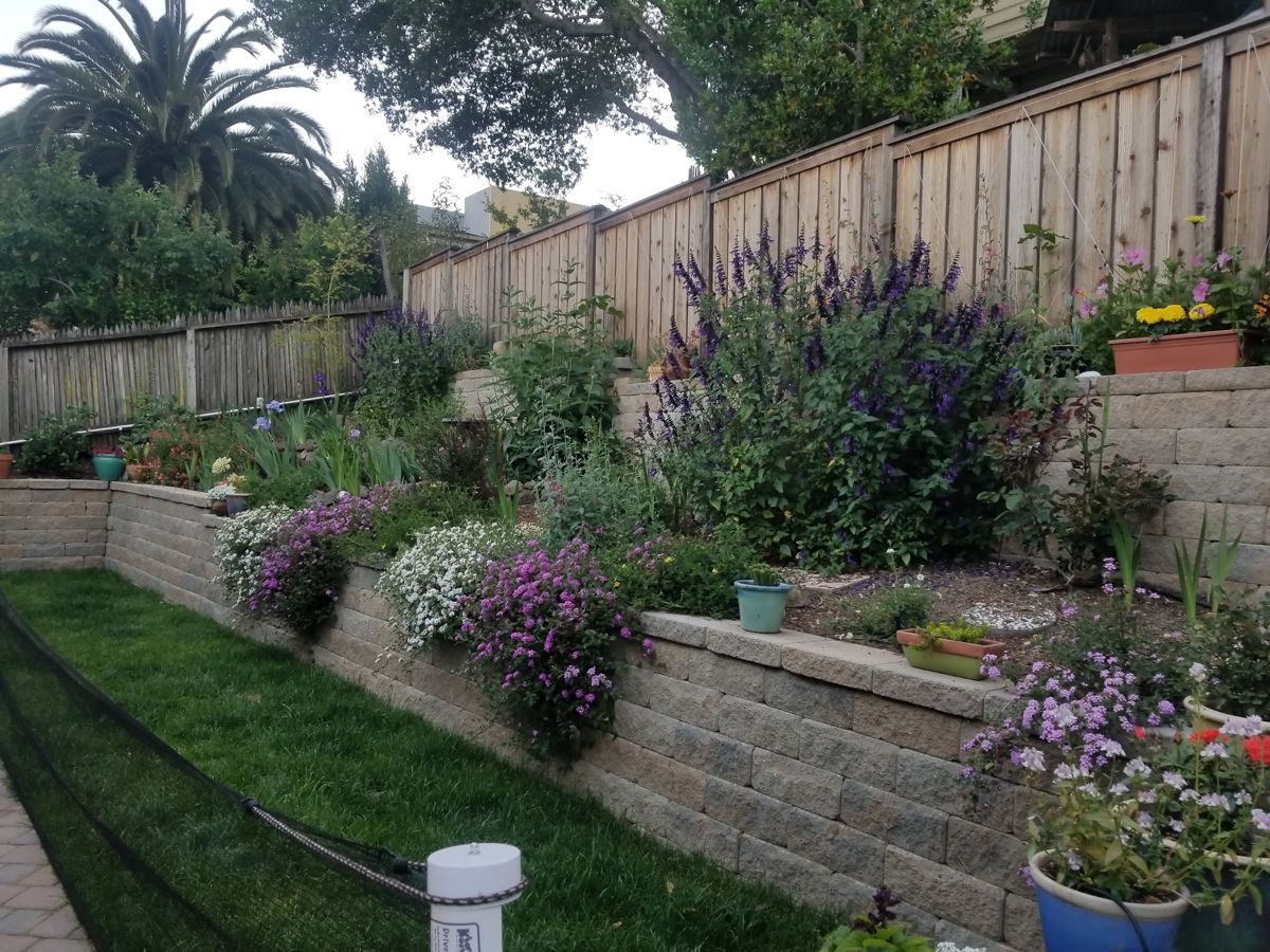 Finished garden retaining walls by Resilient Marin Construction
